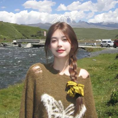 图雅的婚事